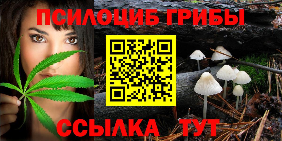 где можно купить   Вход с VPN  Балашов  Галлюциногенные грибы Cubensis  Галлюциногенные грибы Psilocybine cubensis 